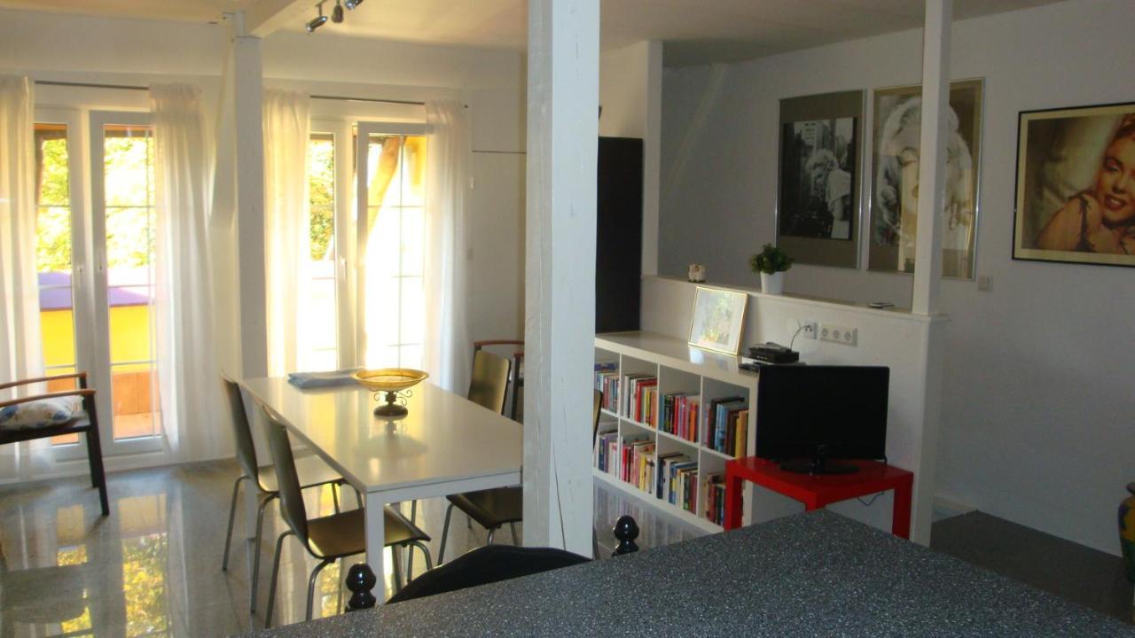 Apartement De Vacances Alsace - Ferienwohnung Elsass - Holiday Apartment Alsace Bischwiller Luaran gambar